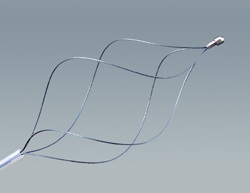 Disposable Spirality Basket (Nitinol), Rọ lấy sỏi, xoắn ốc, hợp kim nhớ hình Nitinol, dùng một lần.